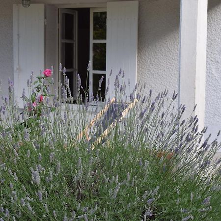 Au N°1 Bed & Breakfast บัวร์ ภายนอก รูปภาพ
